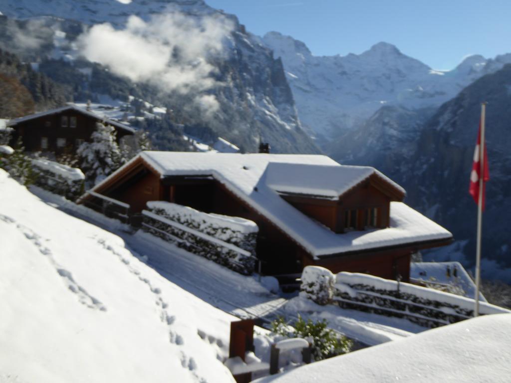 Chalet Protea *