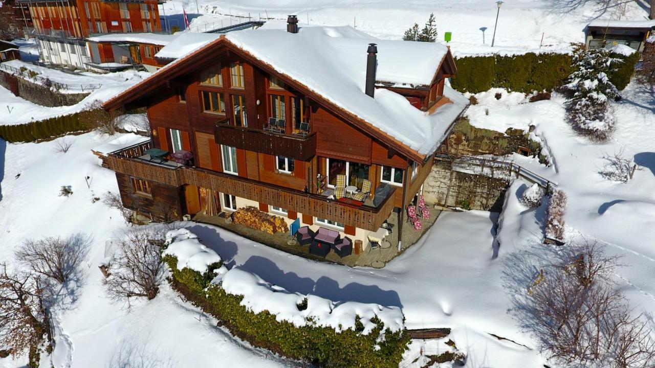 Chalet Protea