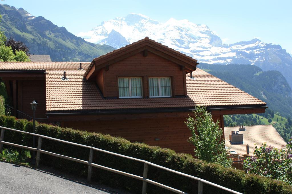 Chalet Protea *